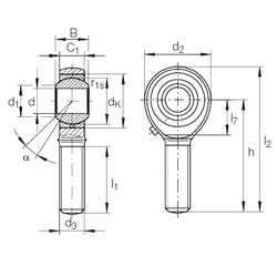 Khớp nối xuyên tâm GAKR 8 PB INA