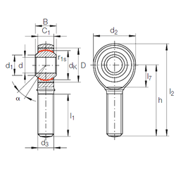 Khớp nối xuyên tâm GAKR 8 PW INA