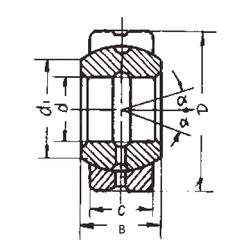 Khớp nối xuyên tâm GE20ES FBJ