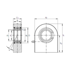 Khớp nối xuyên tâm GF 60 DO INA