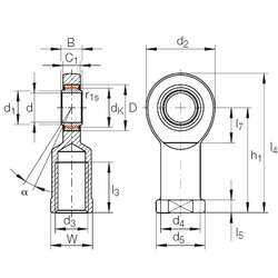 Khớp nối xuyên tâm GIR 60 UK-2RS INA