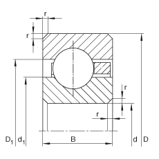 Khớp nối cầu GE8-FO INA