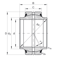 Khớp nối cầu GE50-HO-2RS INA